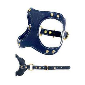 Arnés de Cuero Premium Resistente al Agua para Perros, Arnés Acolchado para Pasear Mascotas con Forro de Secado Rápido para Aventuras al Aire Libre - Product Image 1