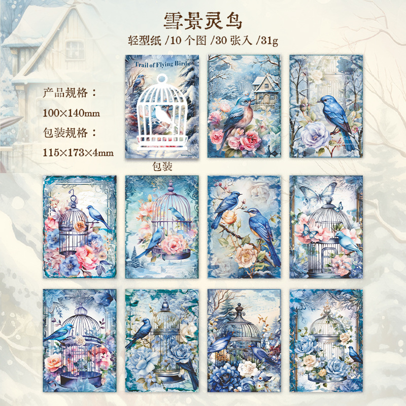 E Snow Scenery Spirit Bird