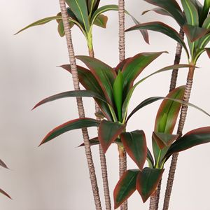 Plante artificielle Dream Castle en bois brésilien 100-200cm, décoration intérieure, bonsaï en pot, verdure - Product Image 2