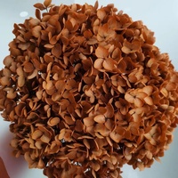 Gedroogde hortensia bloemblaadjes, lange tak, hoge kwaliteit, echt aanvoelend, Valentijnsdag, Chinees Nieuwjaar, Kerstmis