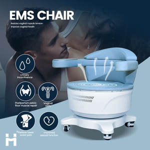 Kursi Terapi Fisik Multifungsi Peralatan Kecantikan Perawatan Pasca Melahirkan EMS Perbaikan Otot Dasar Panggul - Product Image 6