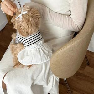 Fashionable Cute Anti-Shedding Summer <b>Teddy</b> <b>Puppy</b> Vest for Dogs Polyester Creative Design Maltese Skirt XL Size Pets Supplies - Product Image 1