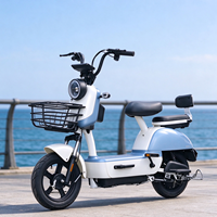 Scooter électrique à deux places pas cher d'usine avec panier avant, vélo électrique pour les trajets urbains pour adultes