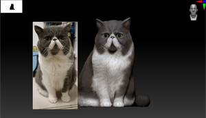 Servicio de Figuras 3D Astermon Otaku Culture, Diseño Personalizado con Foto, Ecológico, Biodegradable, Sostenible, Regalo, Modo de Una Sola Foto - Product Image 2