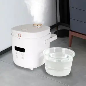 Pequeño humidificador portátil de vidrio Inoxidable Pot 2.0L 3.5L Calefacción Vapor Niebla