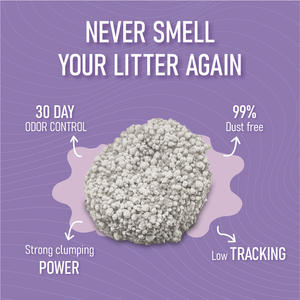 Litière pour chat en bentonite en vrac en gros, fournisseur de 5 kg, vente, meilleure marque de qualité supérieure, sans poussière, forme de boule, forte agglomération, biodégradable - Product Image 6