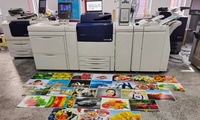 Printer Multifungsi A3 Bekas (Refurbished) Laris Manis untuk Mesin Fotokopi Xerox Vasant V180 Set Lengkap