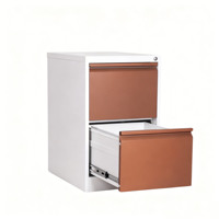 Armoire de classement verticale - Armoire de bureau moderne en acier grande capacité à 2 niveaux pour hôpitaux et supermarchés