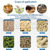 Nouvelle machine à granulés d'aliments pour animaux à haute efficacité pour volailles, poissons, porcs, bovins, moutons, poulets, capacité de 10 tonnes/h, marque JIUHE, nouveauté 2025