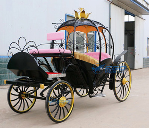 Carruaje de Cenicienta en Venta, Transporte Especial, Carruaje de Fantasía de Princesa Calabaza, Carruaje Eléctrico en Venta - Product Image 2