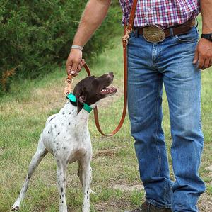 बहु-स्थिति लंबी पालतू लीड 10 मीटर टिकाऊ प्रशिक्षण हैंडल हाथ मुक्त pvc कोटेड डॉग कॉलर और लेश माननीरियम - Product Image 1