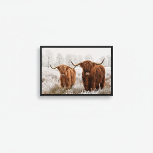 Printed Highland Cow Canvas: Rustic Farmhouse Wall Art Print,<b>BLACK</b> <b>FRAMED</b> CANVAS - Product Image 2