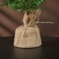 Sapin de Noël artificiel personnalisé de haute qualité, écologique, en épicéa vert, avec branches pliables, résistant à la poussière