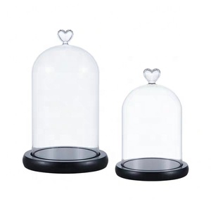 Mini formato enternal fiore <span class=keywords><strong>di</strong></span> visualizzazione cupola <span class=keywords><strong>di</strong></span> <span class=keywords><strong>vetro</strong></span> cloche <span class=keywords><strong>campana</strong></span> <span class=keywords><strong>di</strong></span> <span class=keywords><strong>vetro</strong></span> - Product Image 4