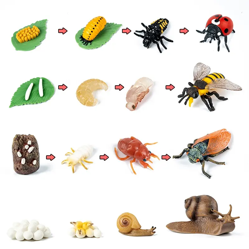 Insekten-und Pflanzen wachstums zyklus Plastiks pielzeug Pädagogisches Vorschul spielzeug Lernen kognitiver biologischer Evolution Zyklus änderungen