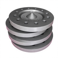 Tête de moulage pour granulation à l'eau 38CrMoAla nitrurée pour machine de granulation sous-marine