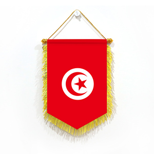 Wholesale Mini Pennant Car Flags 20x30cm Tunisia Wall Decor <b>Small</b> Ornaments Hanging Digital Printing - Product Image 6