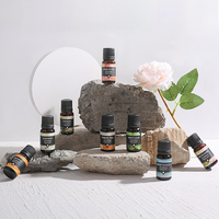 Huile Essentielle Bio Pure de Lavande, Arbre à Thé, Menthe Poivrée, Romarin, Rose d'Intérieur pour Aromathérapie – Marque Privée Personnalisée