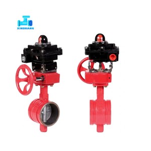 Vanne de recul Xinshang FM UL en fonte ductile, résistante, pour raccord de tuyau d'incendie <span class=keywords><strong>2</strong></span>~8'' 300 PSI, classe 150, avec filtre - Product Image 3