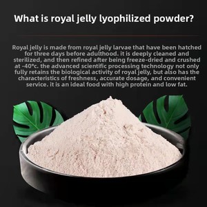 <span class=keywords><strong>Poudre</strong></span> lyophilisée <span class=keywords><strong>de</strong></span> larves <span class=keywords><strong>de</strong></span> gelée royale en vrac, matières premières à basse température pour larves d'abeilles, 500g Zhuo Yu Henan - Product Image 3