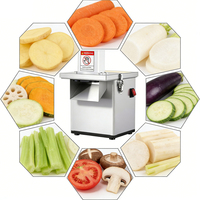 YYHB Veilige Commerciële Groentehakker 200W 220V Laag Geluidsniveau Aardappelverwerking Antislip Design Afrikaanse Commerciële Keukens Stekker