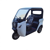 Camionnette électrique à trois roues en acier motorisée avec moteur 60V, capacité de charge de 400 kg pour le transport de marchandises