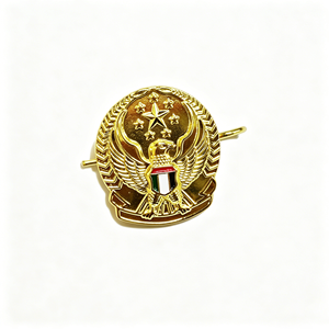 Wholesale Custom Gold Plated Star Eagle Emblem Metal <strong>Buttons</strong> <strong>Badges</strong>, Factory Direct Official Security Accessories - Product Image 3