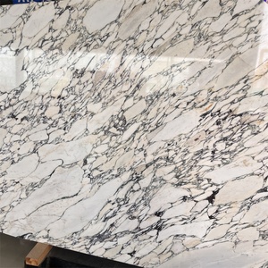 Taglio a misura naturale italia Calacatta <span class=keywords><strong>Viola</strong></span> code di <span class=keywords><strong>marmo</strong></span> per piastrelle da parete retro parete pavimento in <span class=keywords><strong>marmo</strong></span> <span class=keywords><strong>Viola</strong></span> <span class=keywords><strong>marmo</strong></span> - Product Image 2