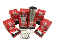 Kit de chemise de cylindre de moteur Rikmi de haute qualité 4TNV88 pour moteur Yanmar 729905-22901 129005-22080 129905-22050 129202-22300