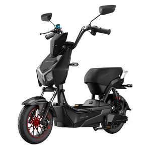 Electric Bicycle - Product Image 1