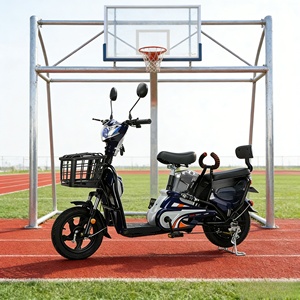Bicicleta Eléctrica de 14 Pulgadas con Motor Trasero sin Escobillas de 3 Velocidades, 48V 350W, Batería de Plomo-Ácido, Cuadro de Acero para Uso Urbano - Product Image 1