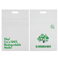 Sacs d'emballage de vêtements post-colis pour produits de petite entreprise Sacs postaux PE