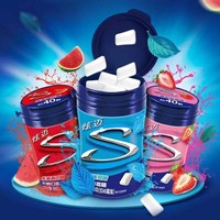 JST0020-Grosir Permen Karet Bebas Gula Stride 56g Botol 4 Rasa Campuran Mint Kopi Semangka Stroberi Permen Karet Xylitol