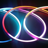 Bande lumineuse LED en silicone RGB, étanche IP67, 12V/24V, dimmable, avec puces 2835 5050, pour décoration extérieure de jardin et de pièce
