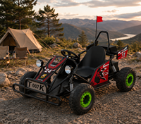 Buggy de course monoplace robuste et durable avec cadre en acier, amortisseur et pneus larges pour la conduite en extérieur