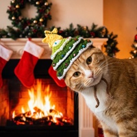Chapeau de Noël tricoté pour chats et petits chiens, costume de fête avec ornements étoiles et perles, nœud papillon, vêtements festifs pour animaux de compagnie