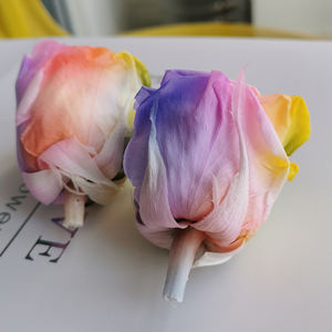 Venta al por mayor y <span class=keywords><strong>Rosa</strong></span> decoración multicolor siempre <span class=keywords><strong>Rosa</strong></span> Color de arco iris y flor regalo arco iris y <span class=keywords><strong>Rosa</strong></span> de la cabeza - Product Image 4