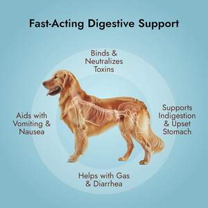 <span class=keywords><strong>Pet</strong></span> Vet Sığır Eti Aromalı Aktif Karbon Jeli Köpekler ve Kediler için - 60ml Şişe İlk Yardım Acil Durum Malzemeleri Toksinleri Emer Destekler - Product Image 4