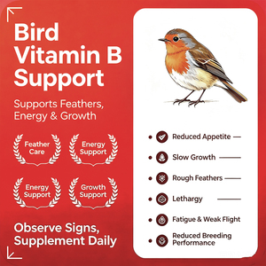 Gotas de Vitaminas Líquidas para Aves, Loros, Palomas, Gallinas, Vitamina B12, Aminoácidos, L-Carnitina, Apoyo Inmunológico y Antiestrés - Product Image 2