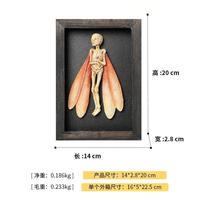 Cadre de présentation pour spécimen de squelette féerique, Modèle en résine de mummie d'elfe ailé gothique, Décoration murale de curiosités et d'objets étranges pour Halloween et chambre sorcière