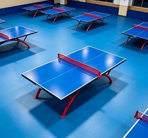 Mesa <span class=keywords><strong>de</strong></span> Tenis <span class=keywords><strong>de</strong></span> Mesa Impermeable SMC, Tamaño <span class=keywords><strong>Oficial</strong></span> Estándar, Anti-UV, para Exteriores, con Soportes Reforzados - Product Image 4