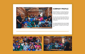 Mrembo Naturals Extrait de menthe fraîche biologique liquide distillé à la vapeur Revitalisant pour la peau Hydratant Peau normale Beauté Bien-être TZ - Product Image 6