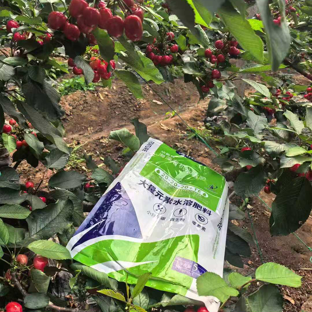 Wholesale 20-20-20+TE Water Soluble NPK Fertilizer Powder