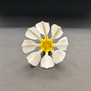 Nhà Sản Xuất Nhà Máy Mới Đến Wifidea Cầu Lông Giá Rẻ Giá Cầu Lông Cầu Lông Mô Hình 855 Thích Hợp Cho Ngoài Trời Công Viên - Product Image 3