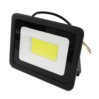 50W extérieur LED lumière d'inondation IP65 étanche Rechargeable jardin projecteur éclairage projecteur projecteurs muraux pour l'extérieur