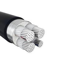 Kabel Inti Aluminium Berlapis PVC Berisolasi untuk Industri & Konstruksi Kelautan Tegangan Rendah