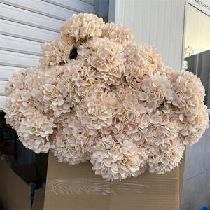 Venta Directa de Fábrica, Flor <span class=keywords><strong>Artificial</strong></span>, Hortensia <span class=keywords><strong>Artificial</strong></span> de Cabeza Grande para Decoración de Bodas y Hogar - Product Image 3