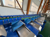 Hoogwaardige, duurzame SS fruit sorteermachine voor continue werking