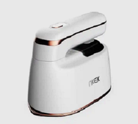 220V/230V/240V petite puissance Machine à repasser voyage portable Portable Mini fer à vapeur électrique pour vêtements RX-229