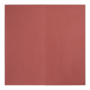 Piastrella Havana Coral 60 X 120 Cm Spessore 10 Mm Finitura Opaca Texturizzata Bordi Rettificati Per Uso a Parete e Pavimento - Product Image 2